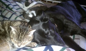 the girls sleeping with me while sick