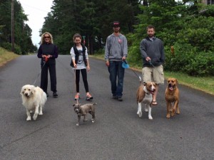 Dog Walk